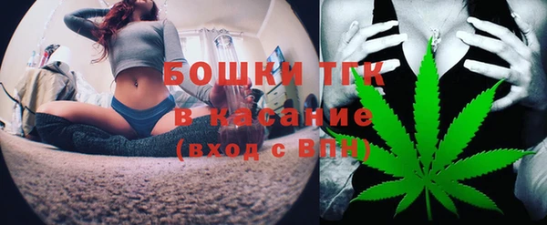 дмт Арсеньев