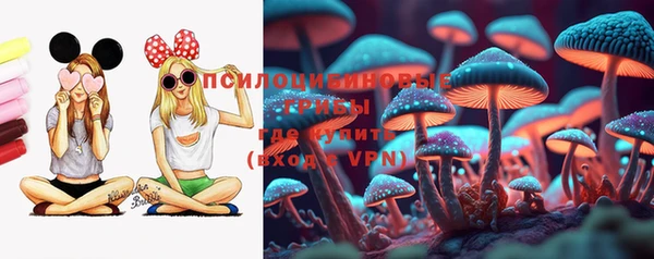 дмт Арсеньев