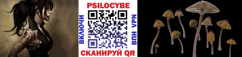 продажа наркотиков  Туринск  mega ссылка  Псилоцибиновые грибы Psilocybe 