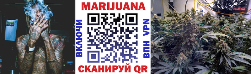 дарнет шоп  Туринск  Канабис конопля 